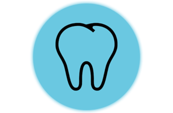 General Dentist and Orthodontist
